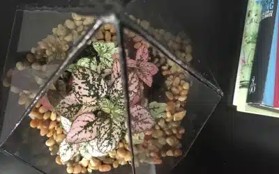 Case Study: Orthopedic Surgeon Discovers Strength Inside of Core Fear