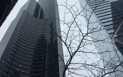 Case Study: Major Urban Public Utilities Team Elevates Performance with High Leverage Individual-First Strategy